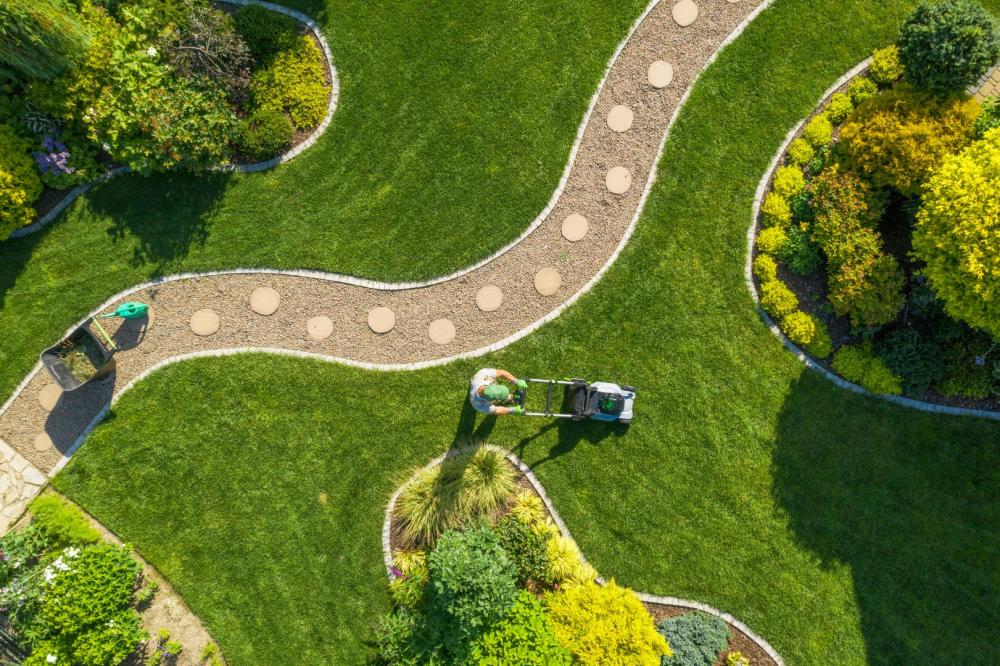 Conception jardin à Auch