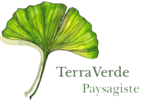 image devis