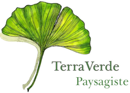 image devis