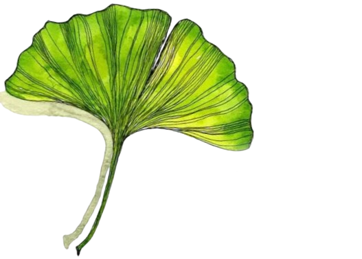 Terra Verde Paysagiste