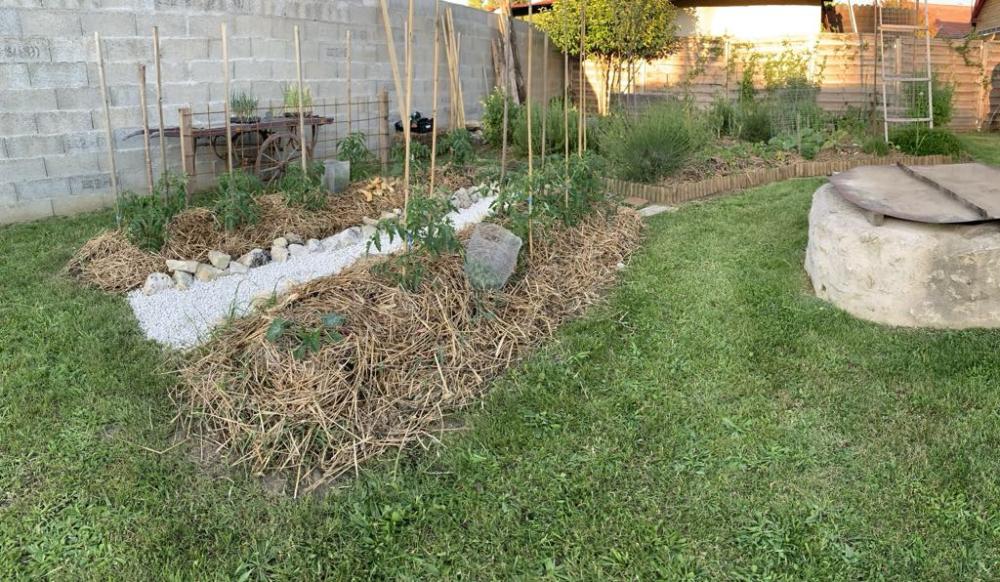 jardin permaculture
